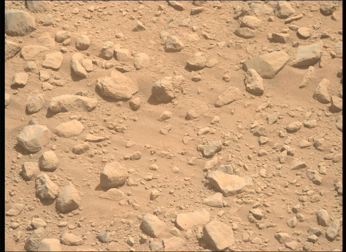 This image was taken by MCZ_RIGHT onboard NASA's Mars rover Perseverance on Sol 1356