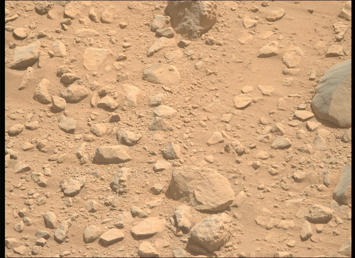 This image was taken by MCZ_RIGHT onboard NASA's Mars rover Perseverance on Sol 1356