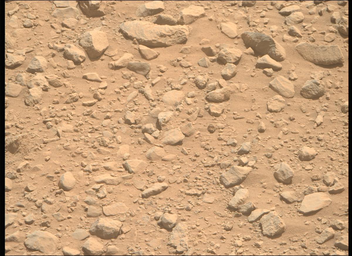 This image was taken by MCZ_RIGHT onboard NASA's Mars rover Perseverance on Sol 1356