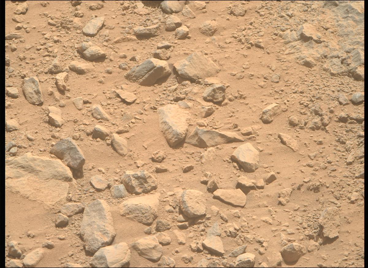 This image was taken by MCZ_RIGHT onboard NASA's Mars rover Perseverance on Sol 1356
