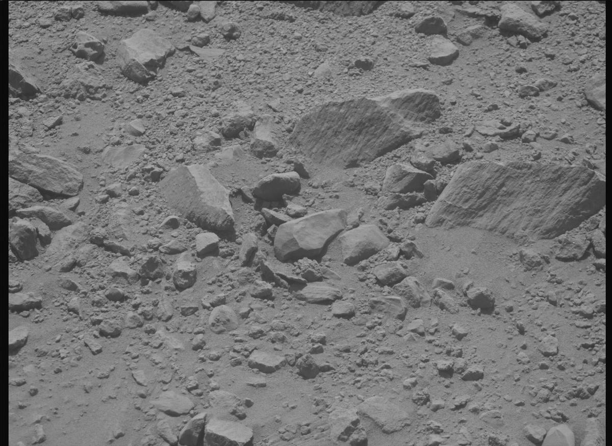 This image was taken by MCZ_RIGHT onboard NASA's Mars rover Perseverance on Sol 1356