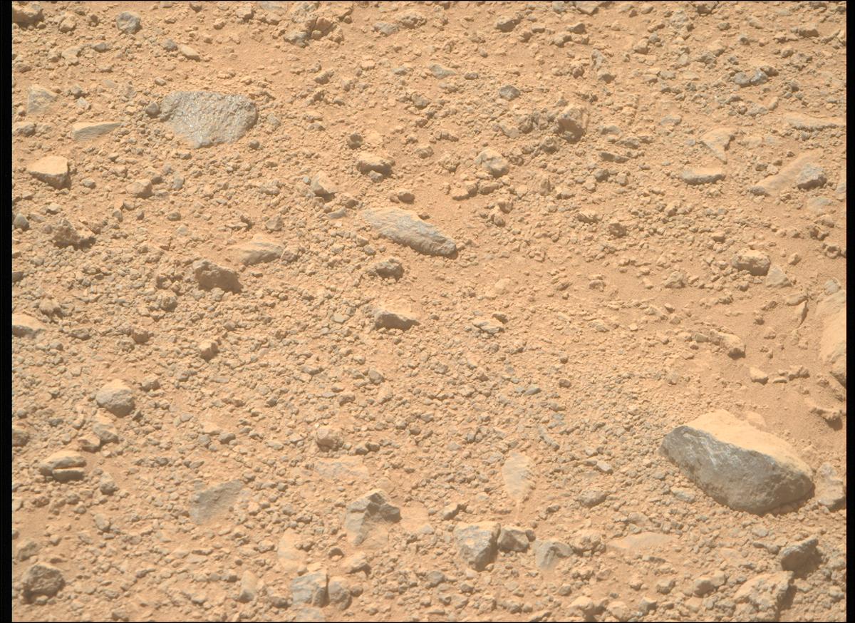 This image was taken by MCZ_RIGHT onboard NASA's Mars rover Perseverance on Sol 1356