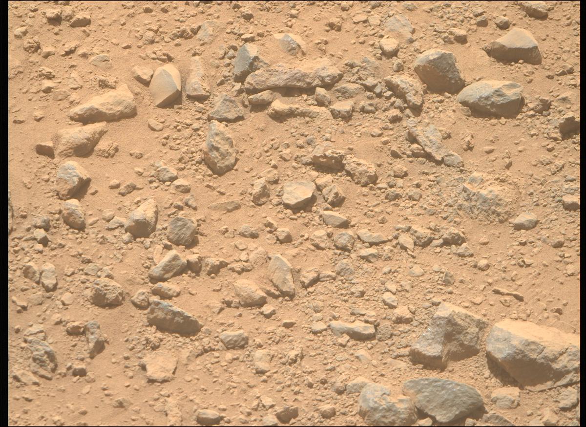 This image was taken by MCZ_RIGHT onboard NASA's Mars rover Perseverance on Sol 1356