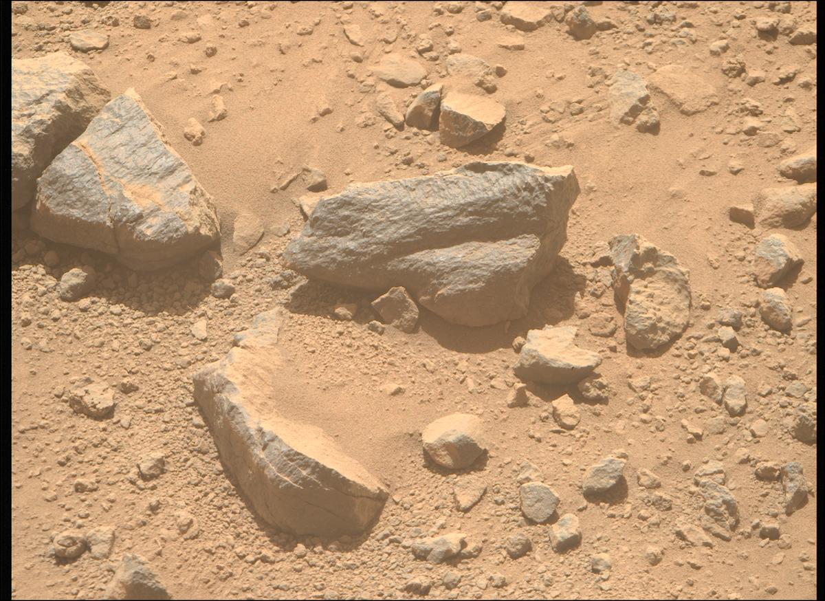 This image was taken by MCZ_RIGHT onboard NASA's Mars rover Perseverance on Sol 1356