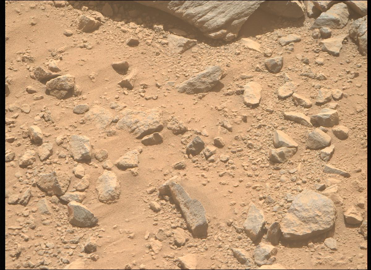 This image was taken by MCZ_RIGHT onboard NASA's Mars rover Perseverance on Sol 1356