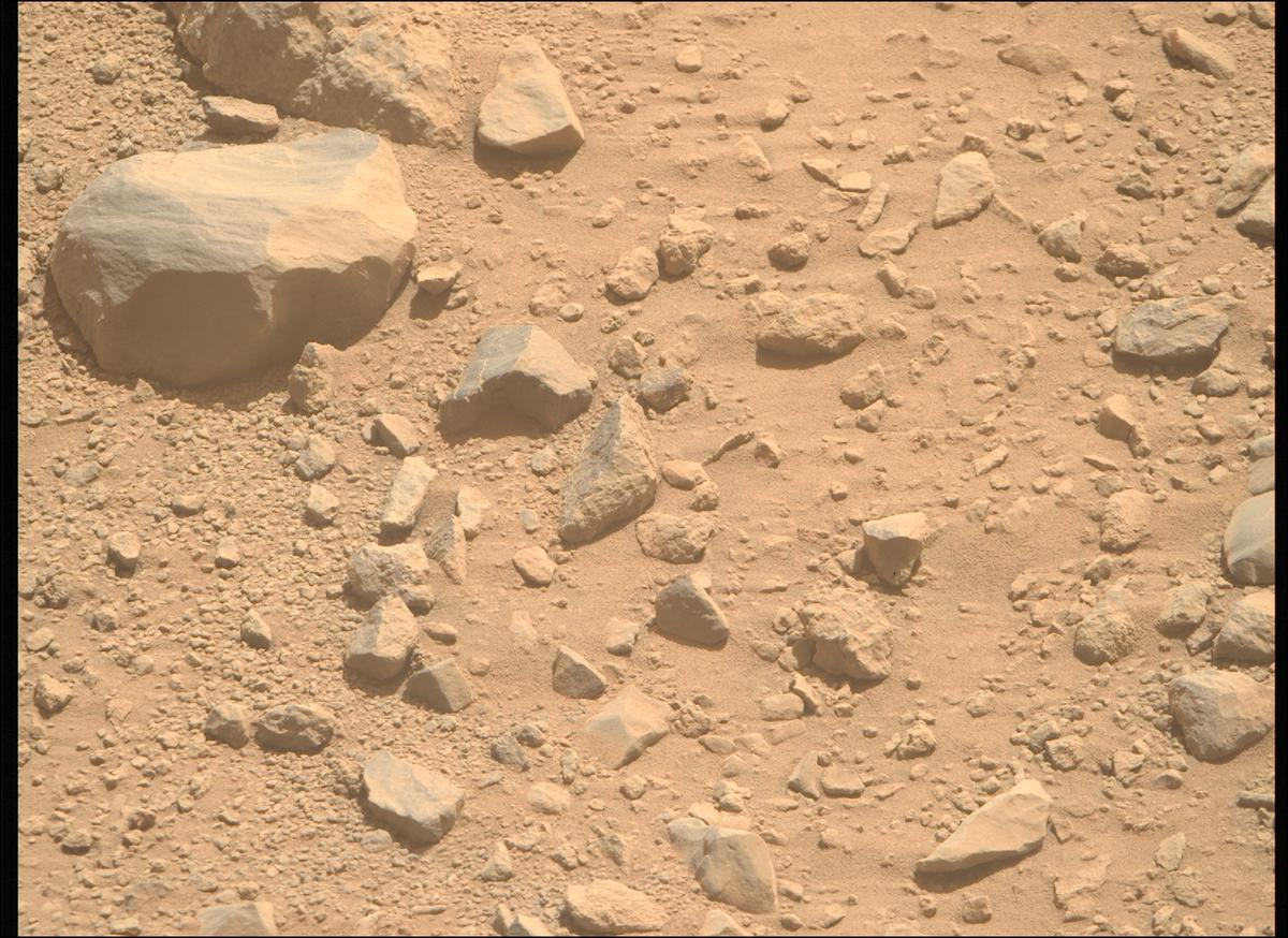 This image was taken by MCZ_RIGHT onboard NASA's Mars rover Perseverance on Sol 1356