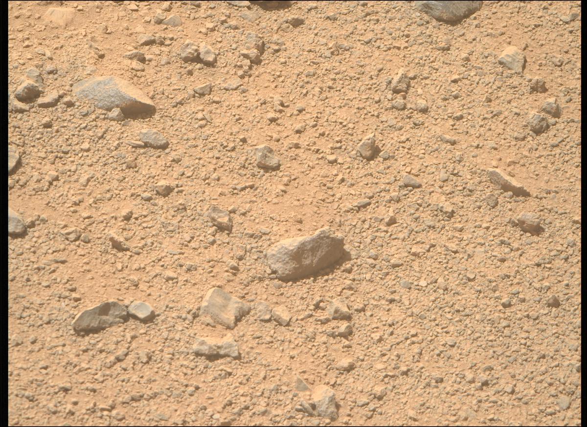 This image was taken by MCZ_RIGHT onboard NASA's Mars rover Perseverance on Sol 1356