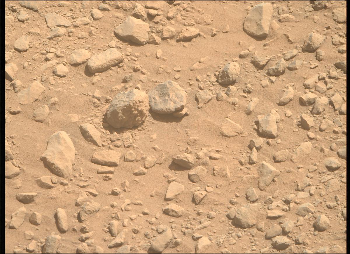 This image was taken by MCZ_RIGHT onboard NASA's Mars rover Perseverance on Sol 1356
