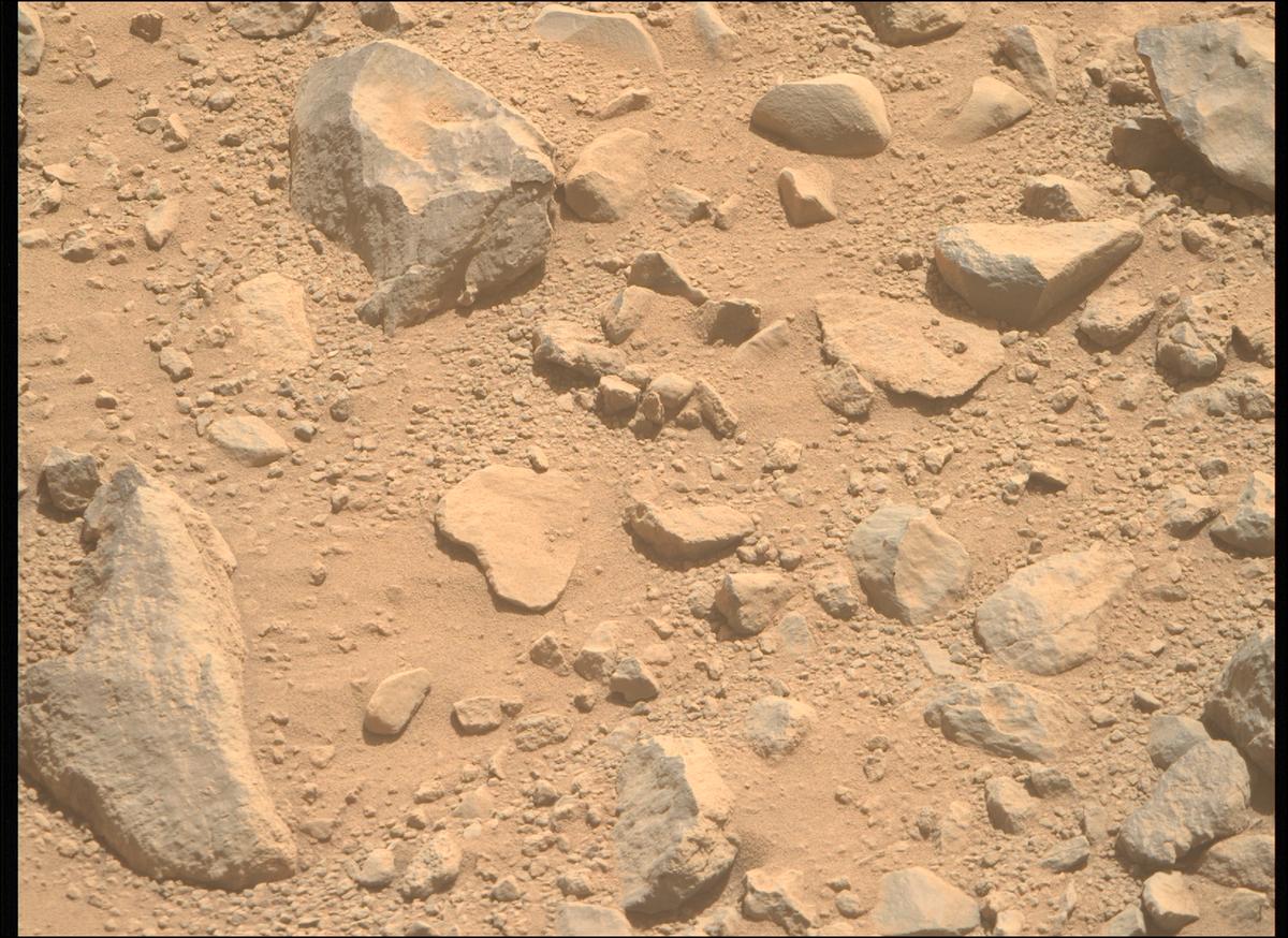 This image was taken by MCZ_RIGHT onboard NASA's Mars rover Perseverance on Sol 1356