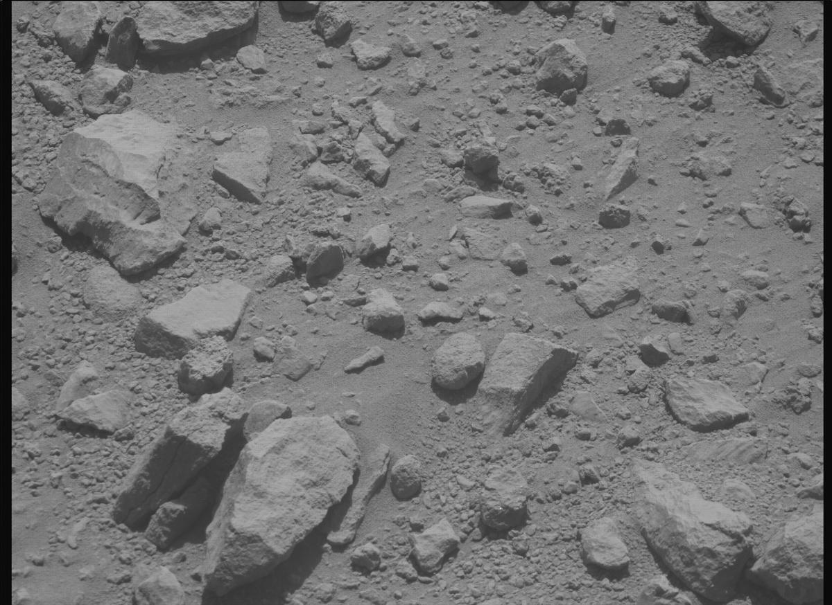 This image was taken by MCZ_RIGHT onboard NASA's Mars rover Perseverance on Sol 1356