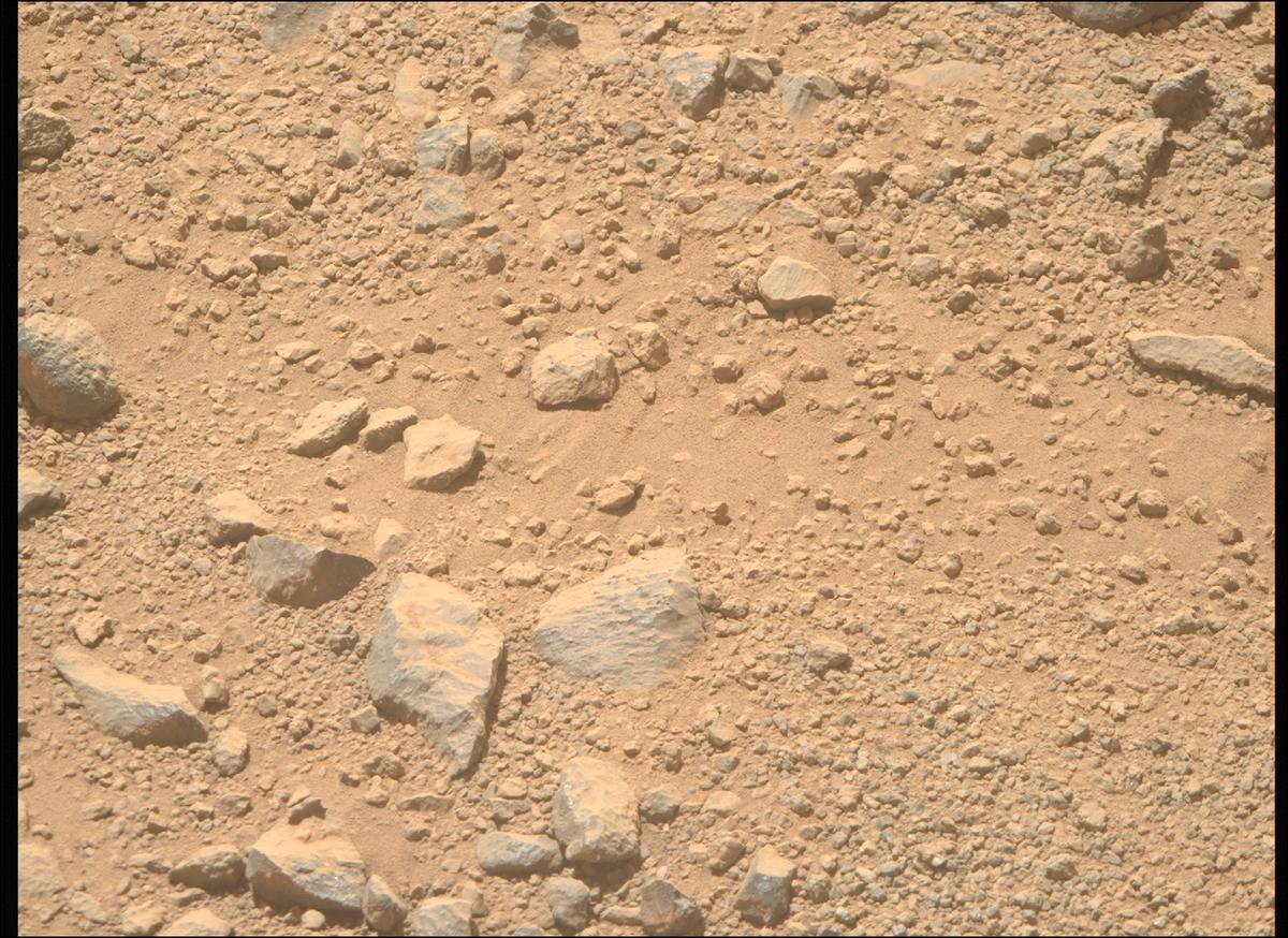 This image was taken by MCZ_RIGHT onboard NASA's Mars rover Perseverance on Sol 1356