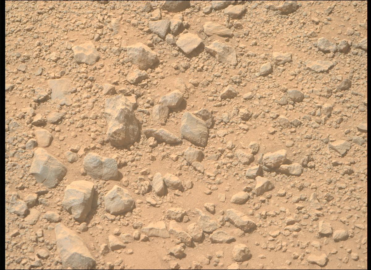 This image was taken by MCZ_RIGHT onboard NASA's Mars rover Perseverance on Sol 1356