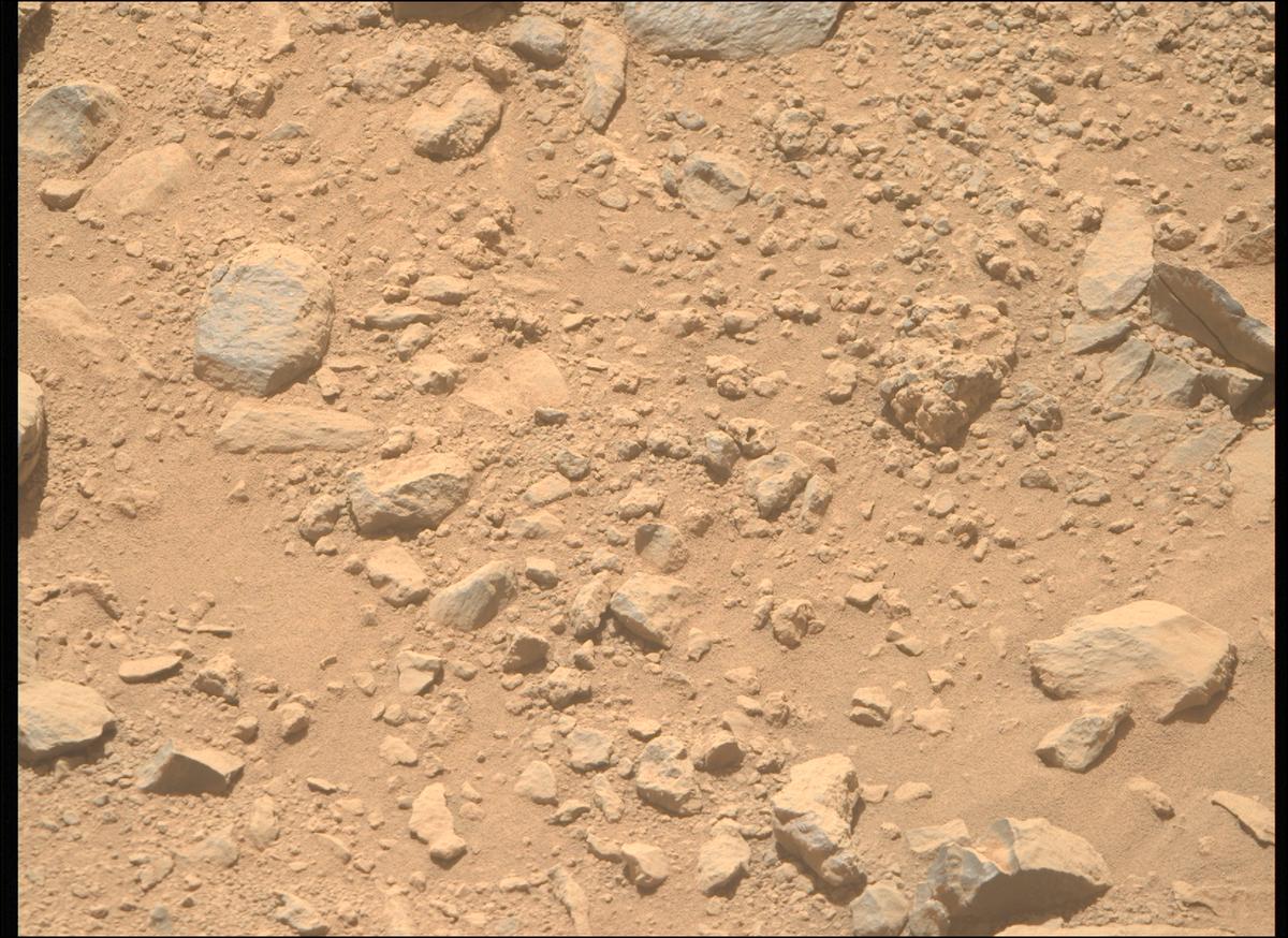 This image was taken by MCZ_RIGHT onboard NASA's Mars rover Perseverance on Sol 1356