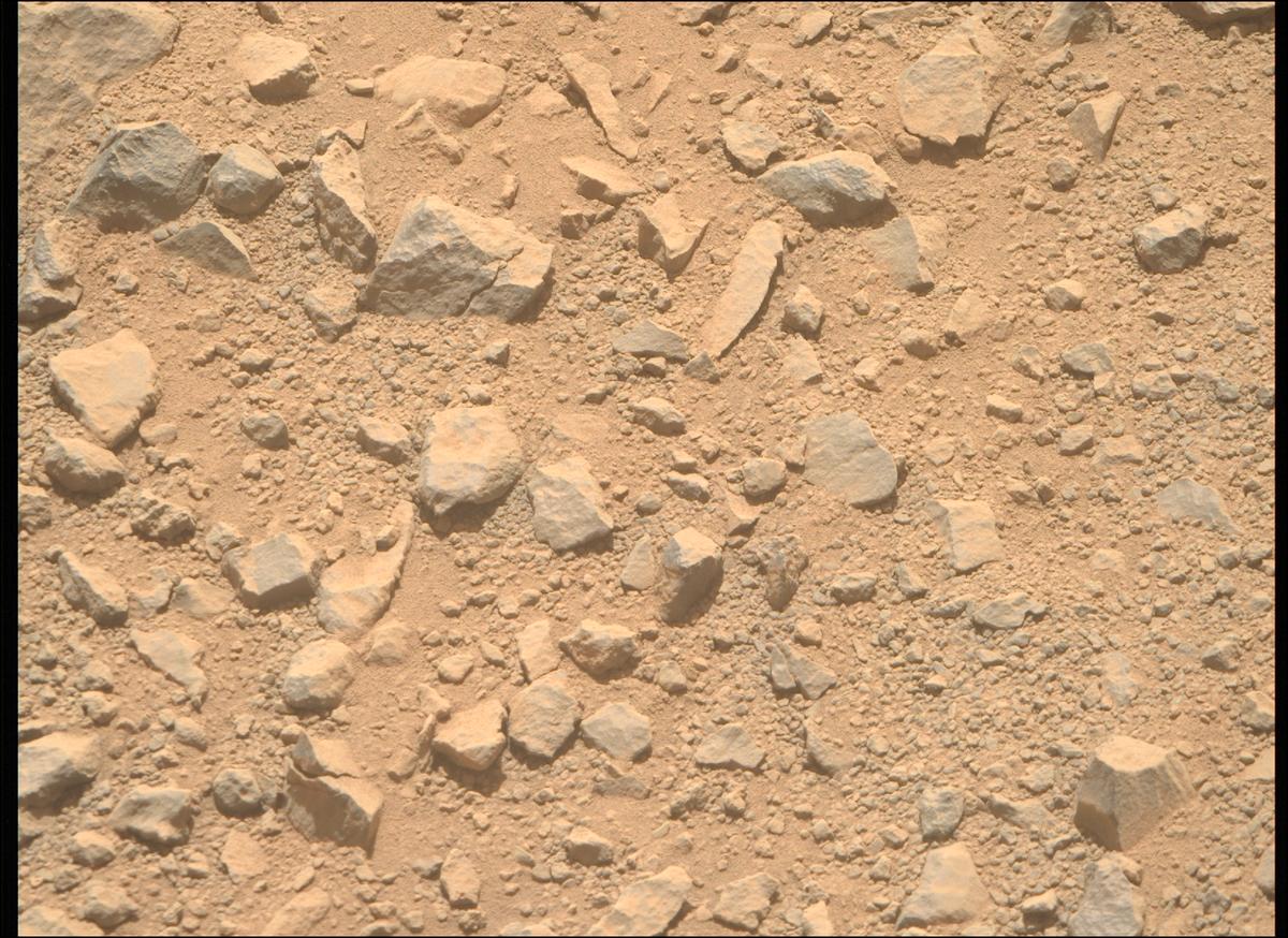 This image was taken by MCZ_RIGHT onboard NASA's Mars rover Perseverance on Sol 1356