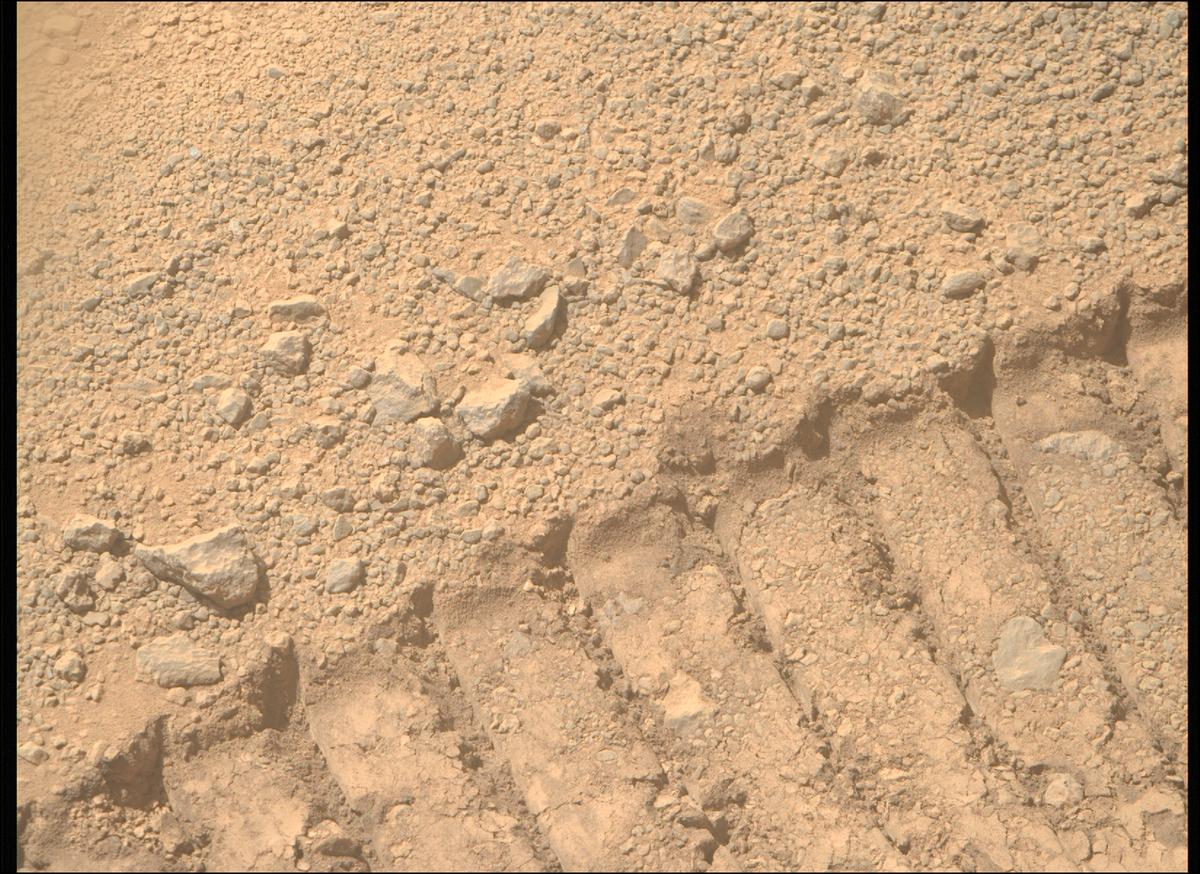 This image was taken by MCZ_RIGHT onboard NASA's Mars rover Perseverance on Sol 1356