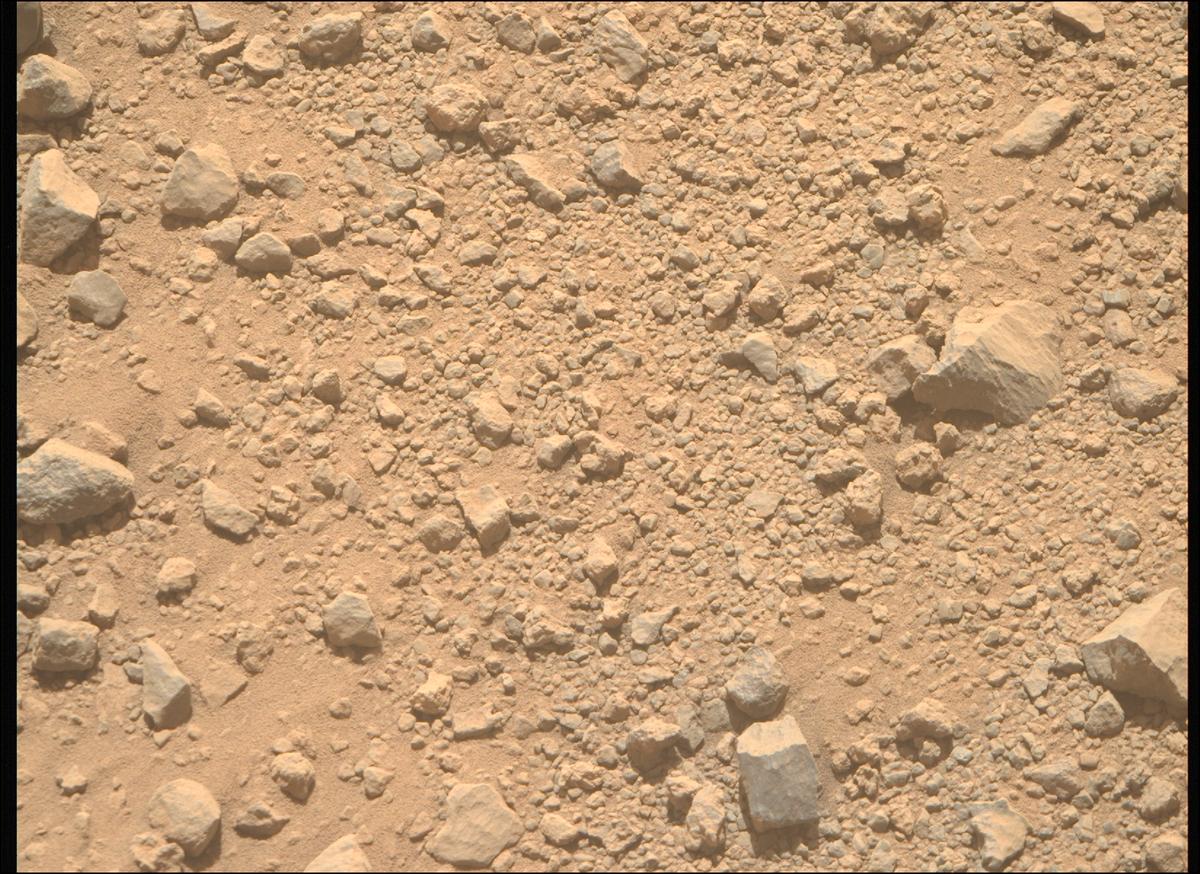 This image was taken by MCZ_RIGHT onboard NASA's Mars rover Perseverance on Sol 1356
