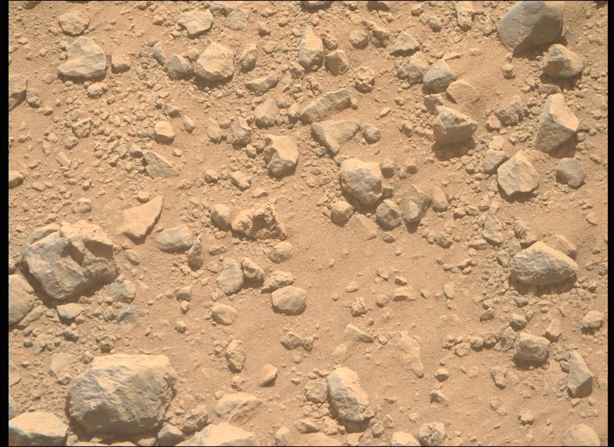 This image was taken by MCZ_RIGHT onboard NASA's Mars rover Perseverance on Sol 1356