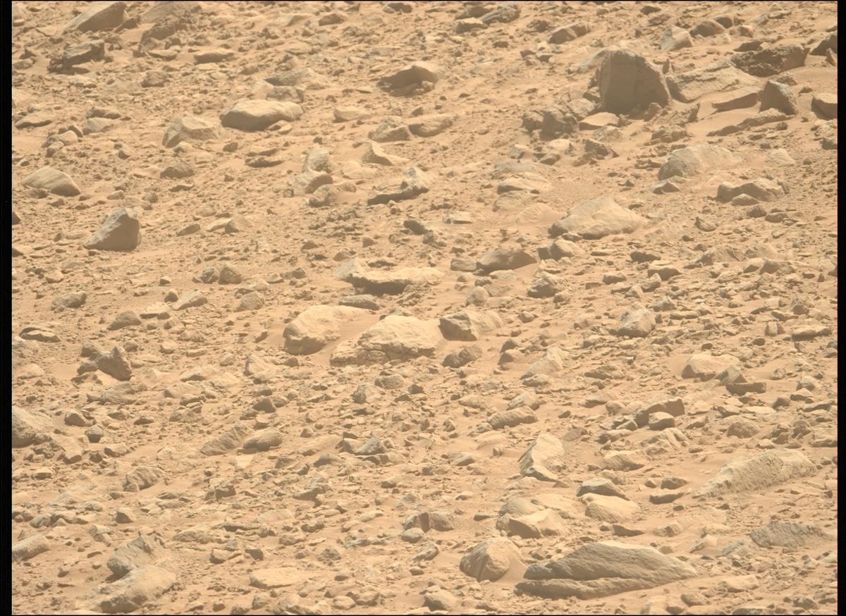 This image was taken by MCZ_LEFT onboard NASA's Mars rover Perseverance on Sol 1357
