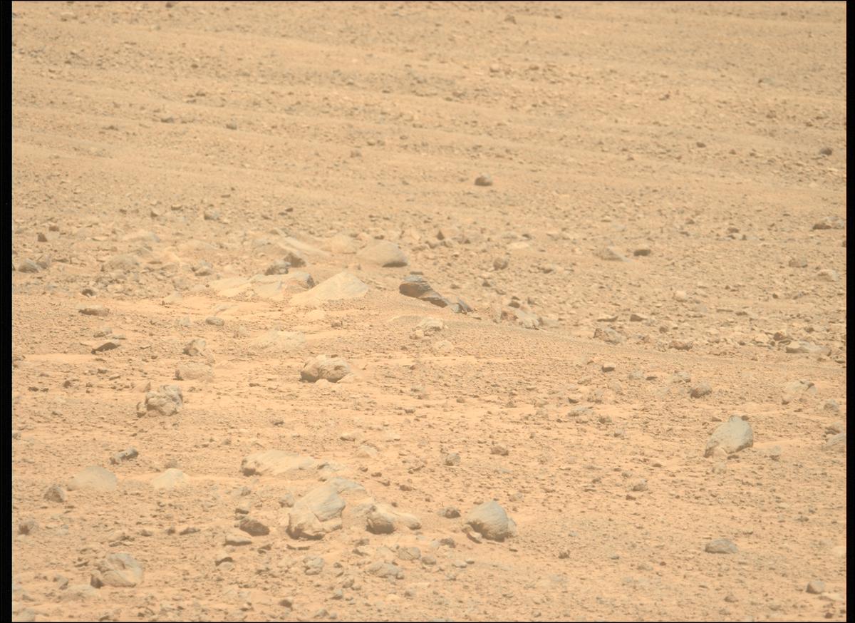 This image was taken by MCZ_LEFT onboard NASA's Mars rover Perseverance on Sol 1357