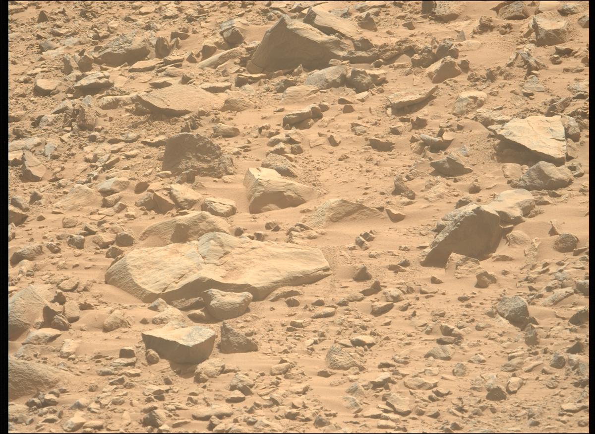 This image was taken by MCZ_LEFT onboard NASA's Mars rover Perseverance on Sol 1357
