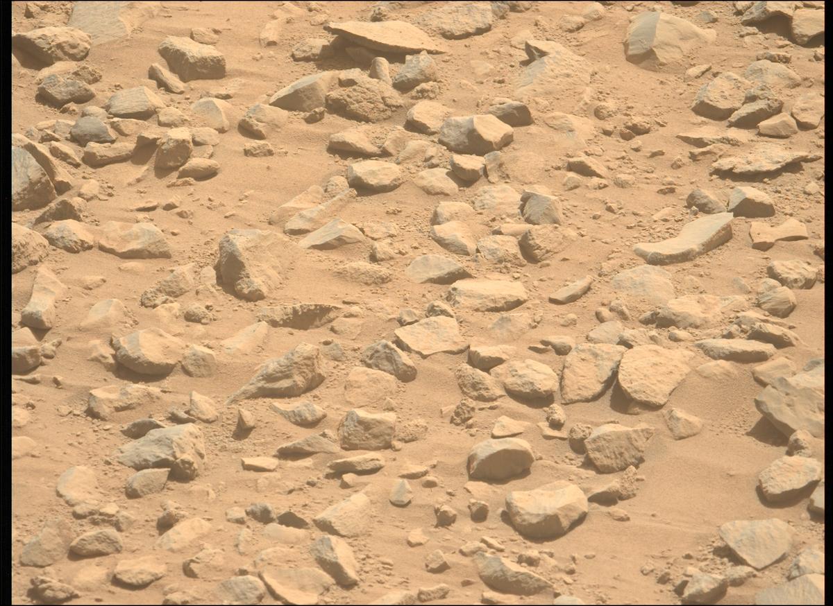 This image was taken by MCZ_LEFT onboard NASA's Mars rover Perseverance on Sol 1357