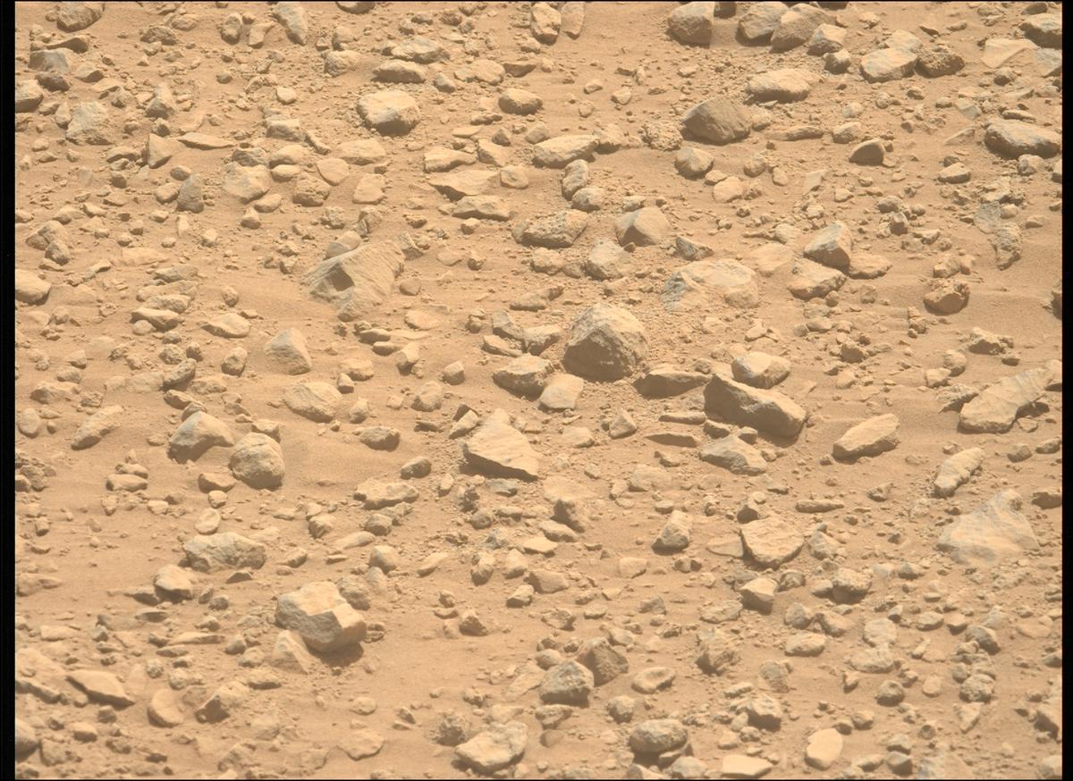 This image was taken by MCZ_LEFT onboard NASA's Mars rover Perseverance on Sol 1357