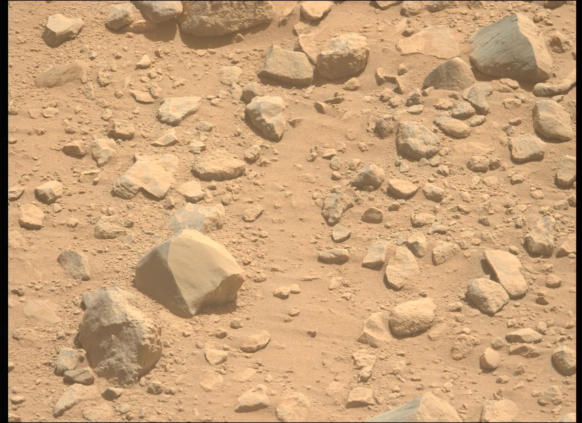 This image was taken by MCZ_LEFT onboard NASA's Mars rover Perseverance on Sol 1357