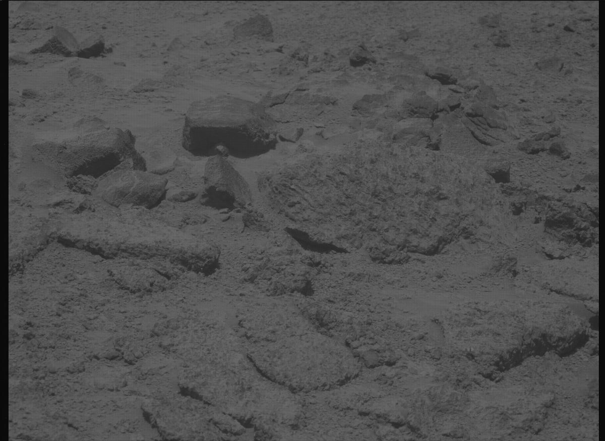 This image was taken by MCZ_LEFT onboard NASA's Mars rover Perseverance on Sol 1357