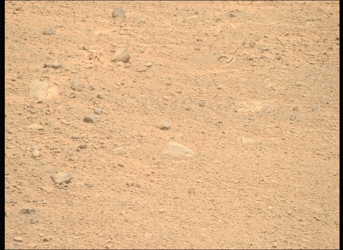 This image was taken by MCZ_RIGHT onboard NASA's Mars rover Perseverance on Sol 1357