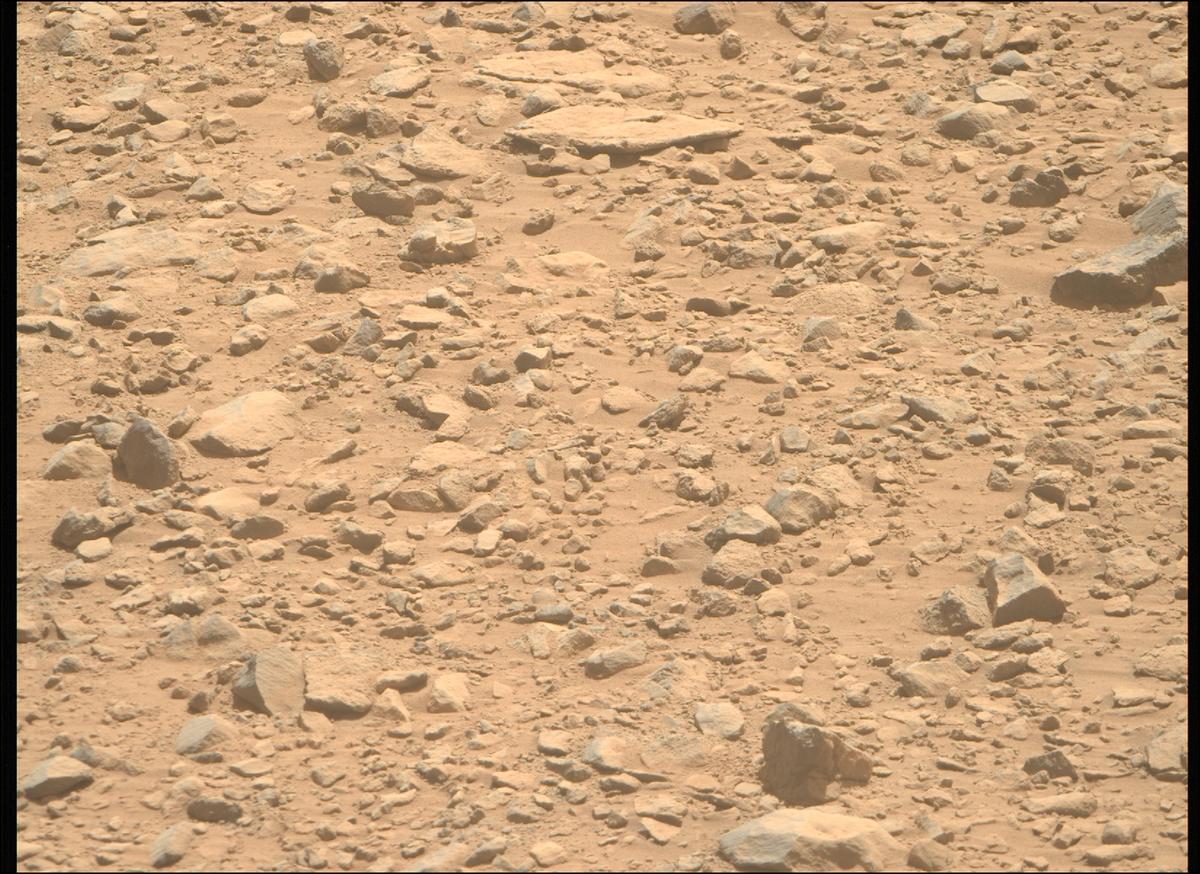 This image was taken by MCZ_RIGHT onboard NASA's Mars rover Perseverance on Sol 1357