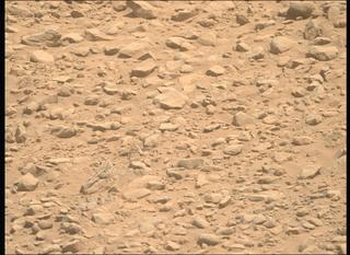 View image taken on Mars, Mars Perseverance Sol 1357: Right Mastcam-Z Camera