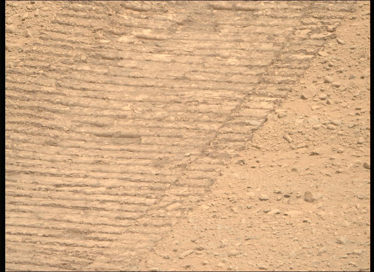 This image was taken by MCZ_RIGHT onboard NASA's Mars rover Perseverance on Sol 1357