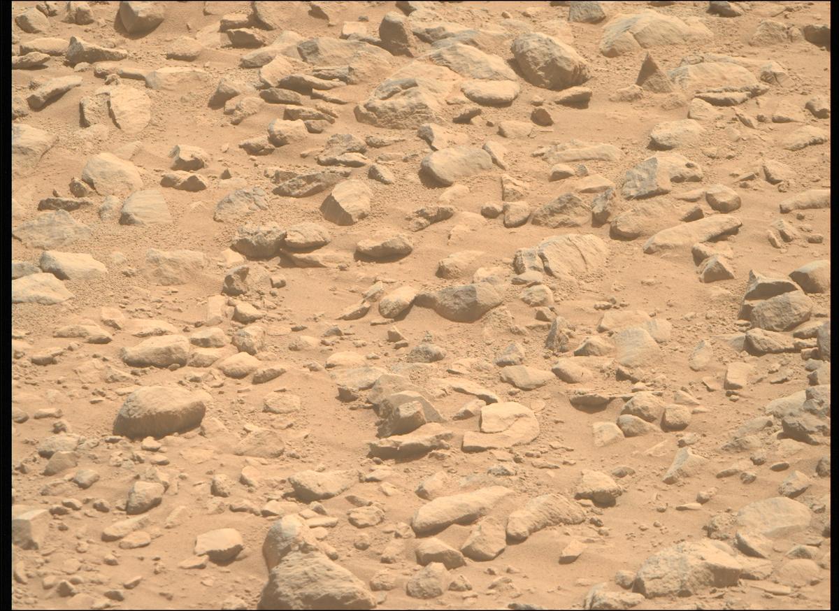 This image was taken by MCZ_RIGHT onboard NASA's Mars rover Perseverance on Sol 1357