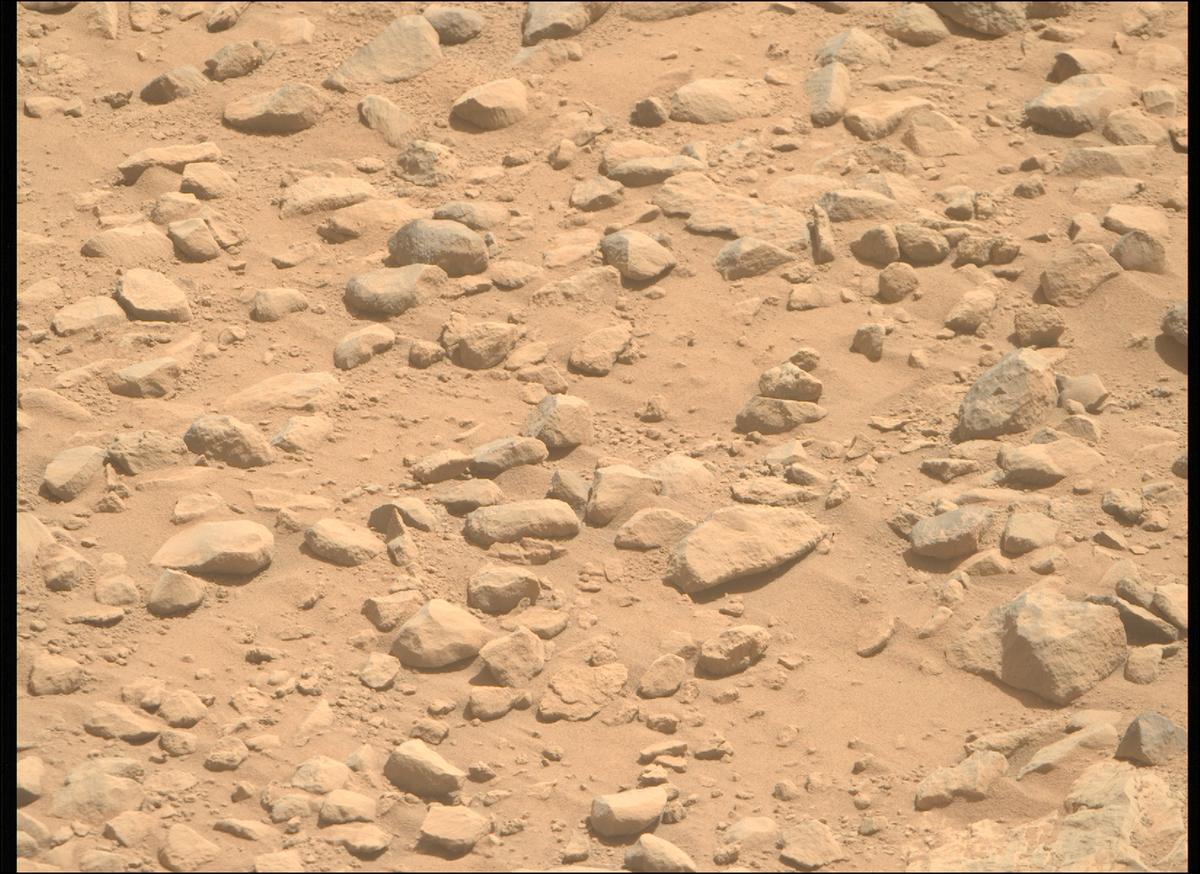 This image was taken by MCZ_RIGHT onboard NASA's Mars rover Perseverance on Sol 1357