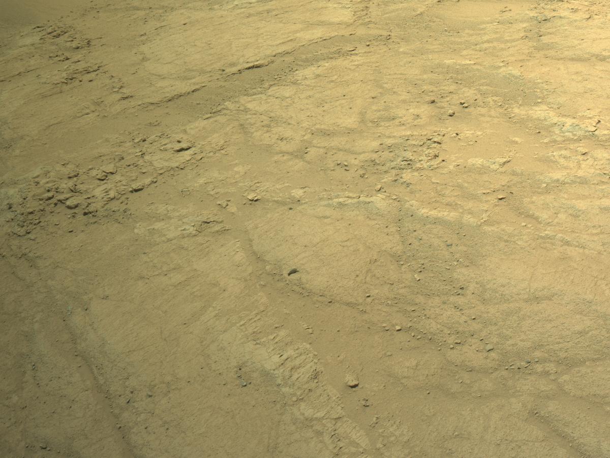 This image was taken by NAVCAM_LEFT onboard NASA's Mars rover Perseverance on Sol 1360