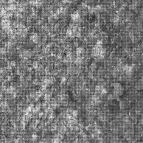 This image was taken by SHERLOC_WATSON onboard NASA's Mars rover Perseverance on Sol 1360