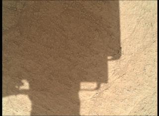 View image taken on Mars, Mars Perseverance Sol 1360: WATSON Camera 