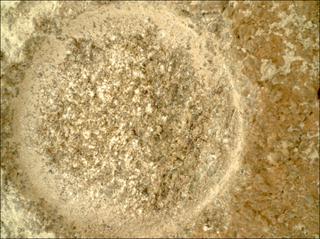 View image taken on Mars, Mars Perseverance Sol 1360: WATSON Camera 