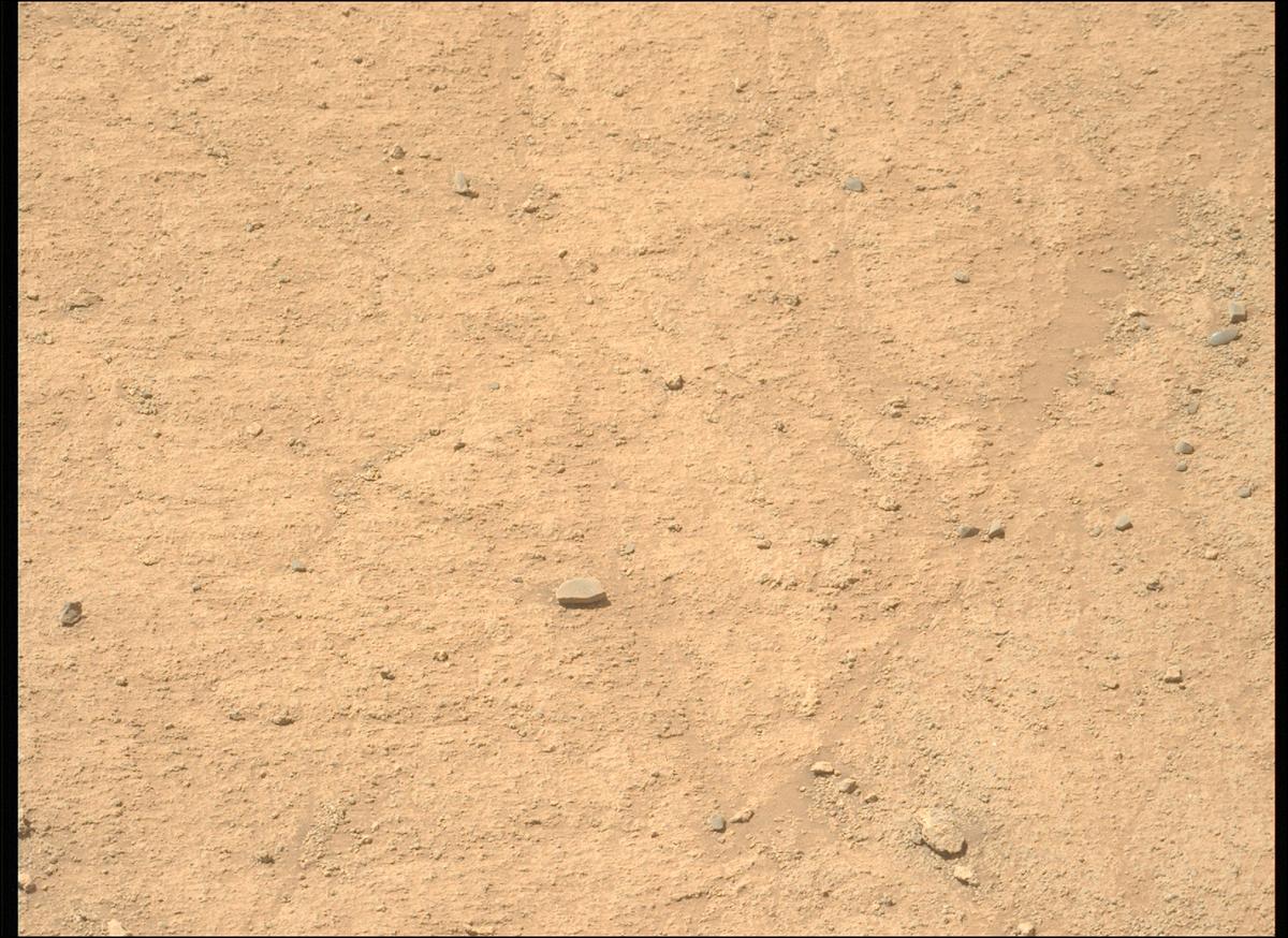 This image was taken by MCZ_LEFT onboard NASA's Mars rover Perseverance on Sol 1360