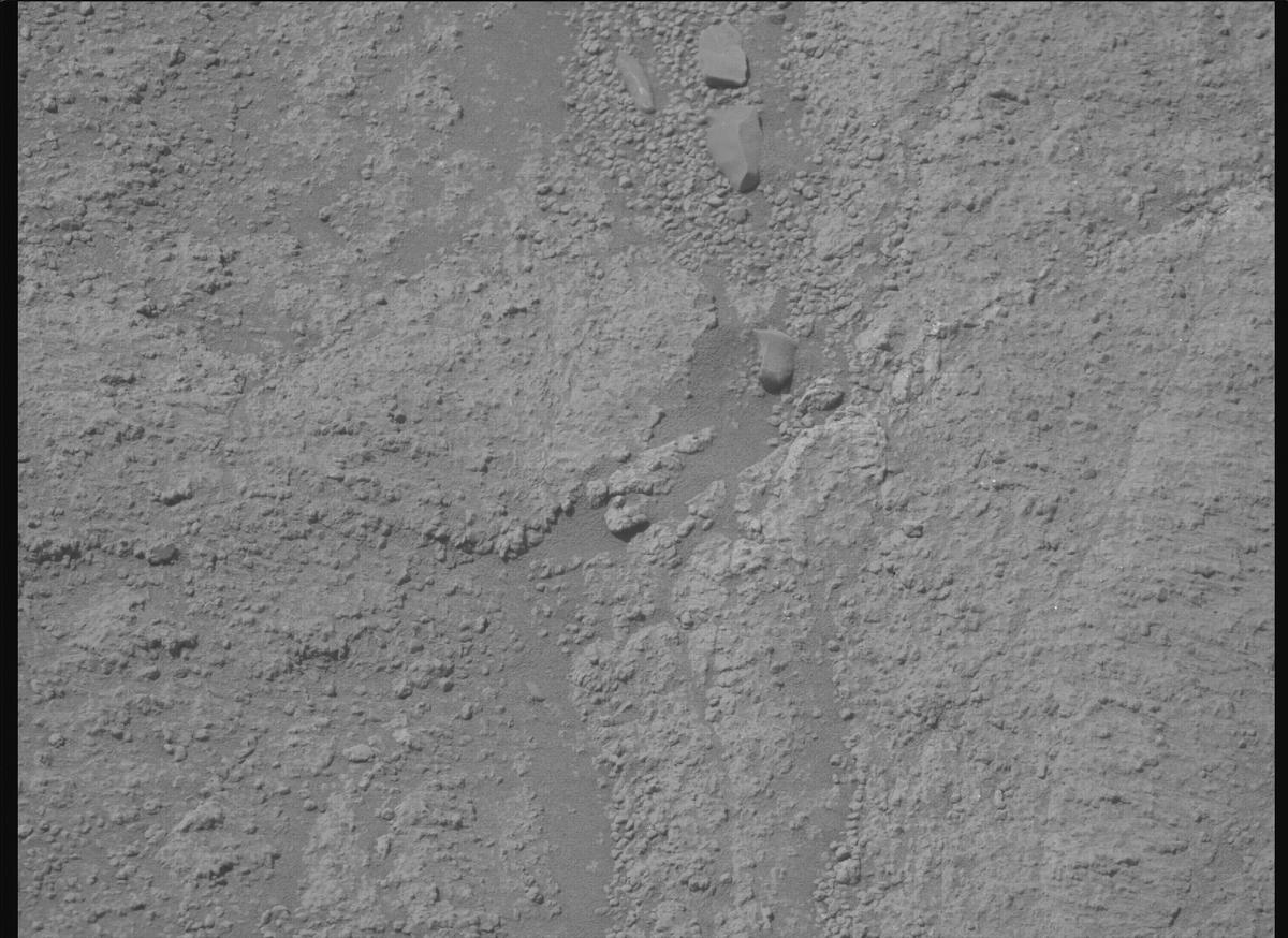 This image was taken by MCZ_RIGHT onboard NASA's Mars rover Perseverance on Sol 1360