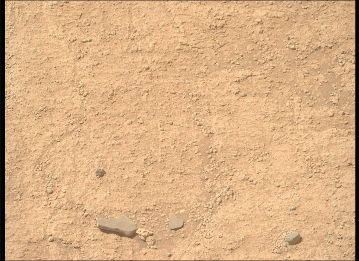 This image was taken by MCZ_RIGHT onboard NASA's Mars rover Perseverance on Sol 1360