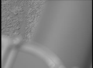 View image taken on Mars, Mars Perseverance Sol 1360: Right Mastcam-Z Camera