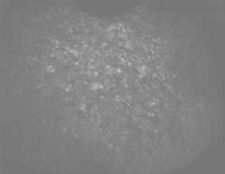 View image taken on Mars, Mars Perseverance Sol 1361: PIXL Camera 