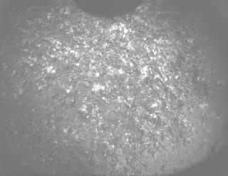 View image taken on Mars, Mars Perseverance Sol 1361: PIXL Camera 