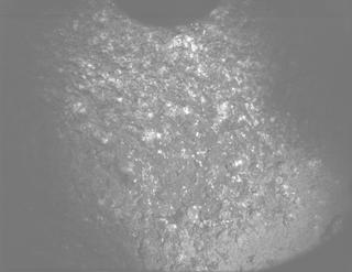 View image taken on Mars, Mars Perseverance Sol 1361: PIXL Camera 