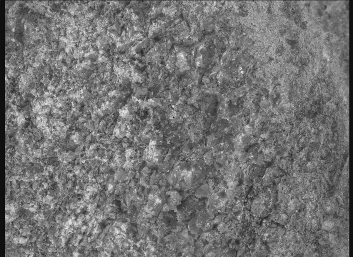 This image was taken by SHERLOC_WATSON onboard NASA's Mars rover Perseverance on Sol 1361