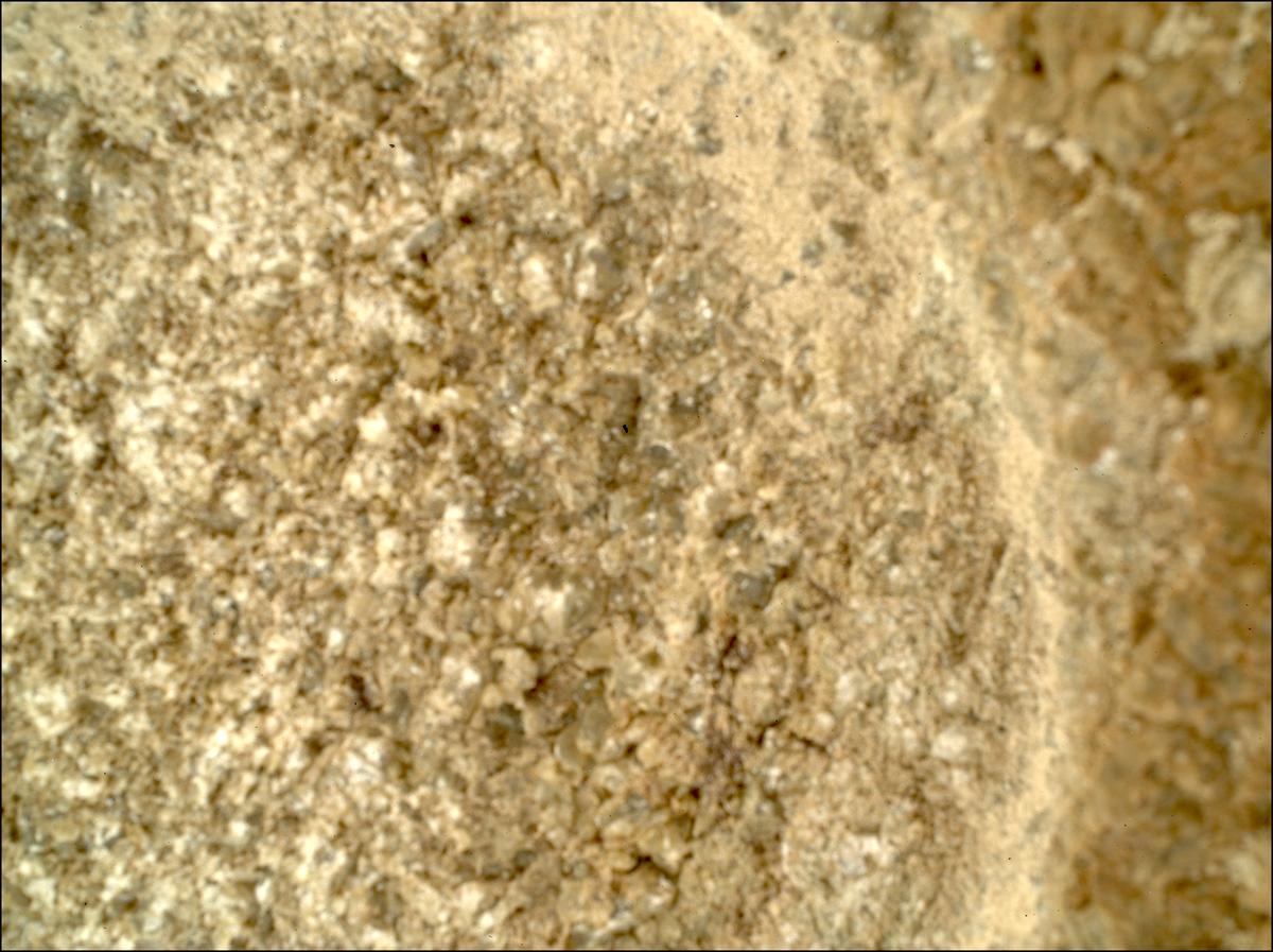 This image was taken by SHERLOC_WATSON onboard NASA's Mars rover Perseverance on Sol 1361