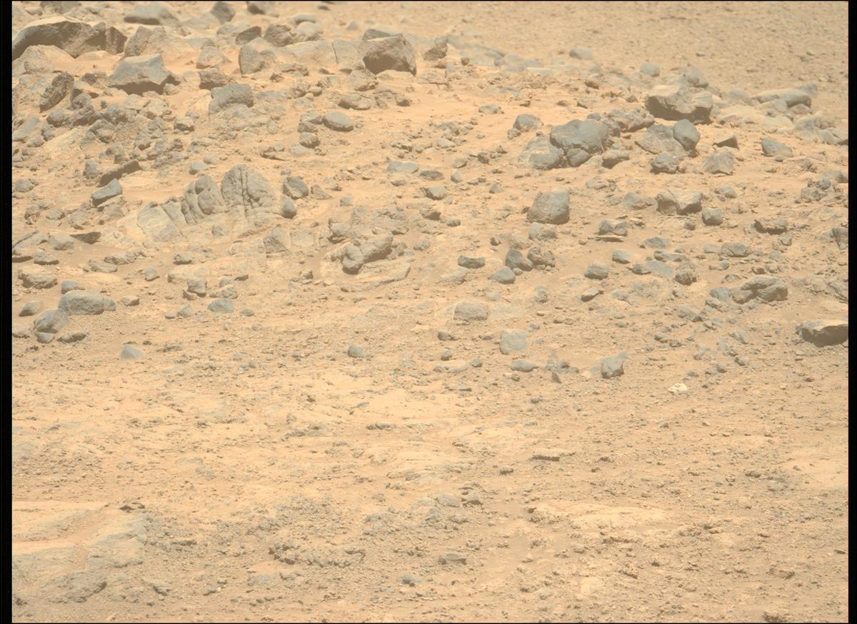 This image was taken by MCZ_LEFT onboard NASA's Mars rover Perseverance on Sol 1361