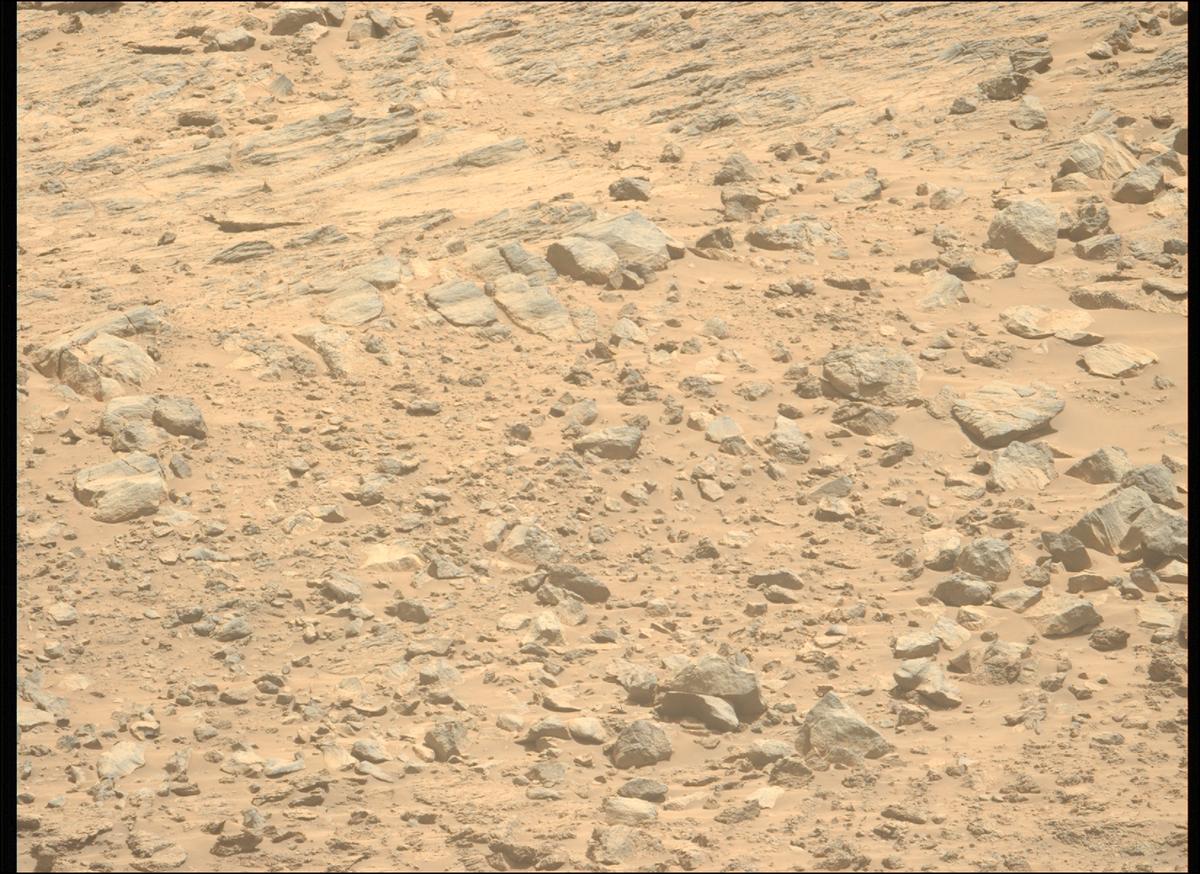 This image was taken by MCZ_LEFT onboard NASA's Mars rover Perseverance on Sol 1362