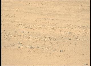View image taken on Mars, Mars Perseverance Sol 1363: Left Mastcam-Z Camera